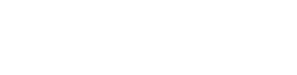 cargodealer