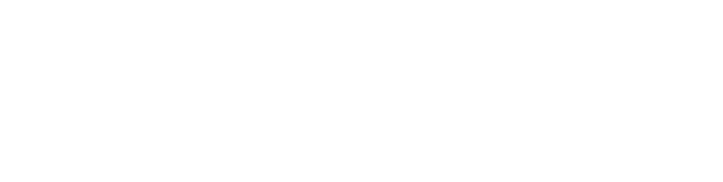 logo-cargodealer-docshipper